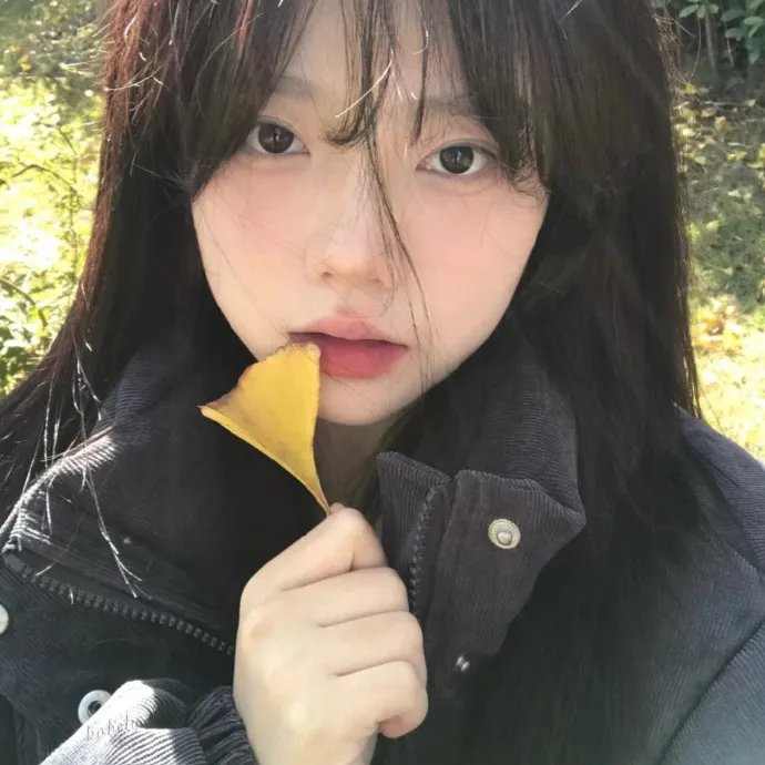 探案新窍门 第五季